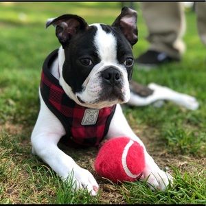 Meet your Posher, Andy